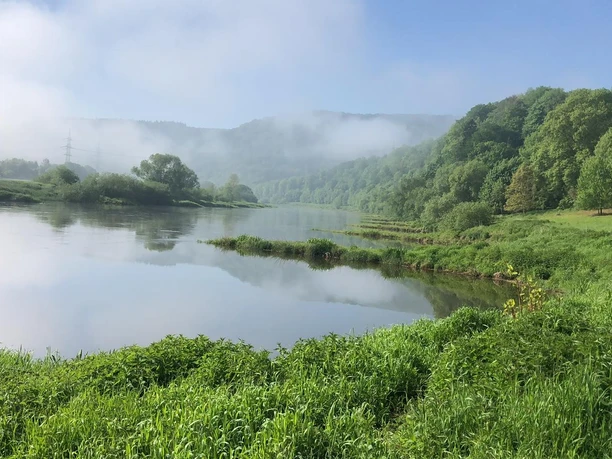 Camping am Bootshaus - Weser Das Bild zeigt sanfte Morgendämmerung am Weserufer, umgeben von üppigem Grün und leichtem Nebel.