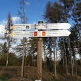 Wegweiser im Wald mit Richtungshinweisen und Entfernungsangaben zu verschiedenen Wanderzielen.