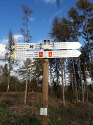 Nikolausweg Wegweiser im Wald mit Richtungshinweisen und Entfernungsangaben zu verschiedenen Wanderzielen.