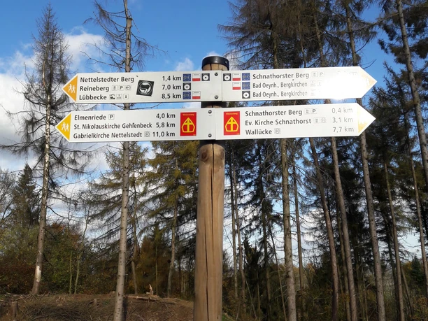 Nikolausweg Wegweiser im Wald mit Richtungshinweisen und Entfernungsangaben zu verschiedenen Wanderzielen.