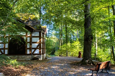 Promenadenspaziergang Friedrichpavillon- Stadt Rehburg-Loccum.jpg
