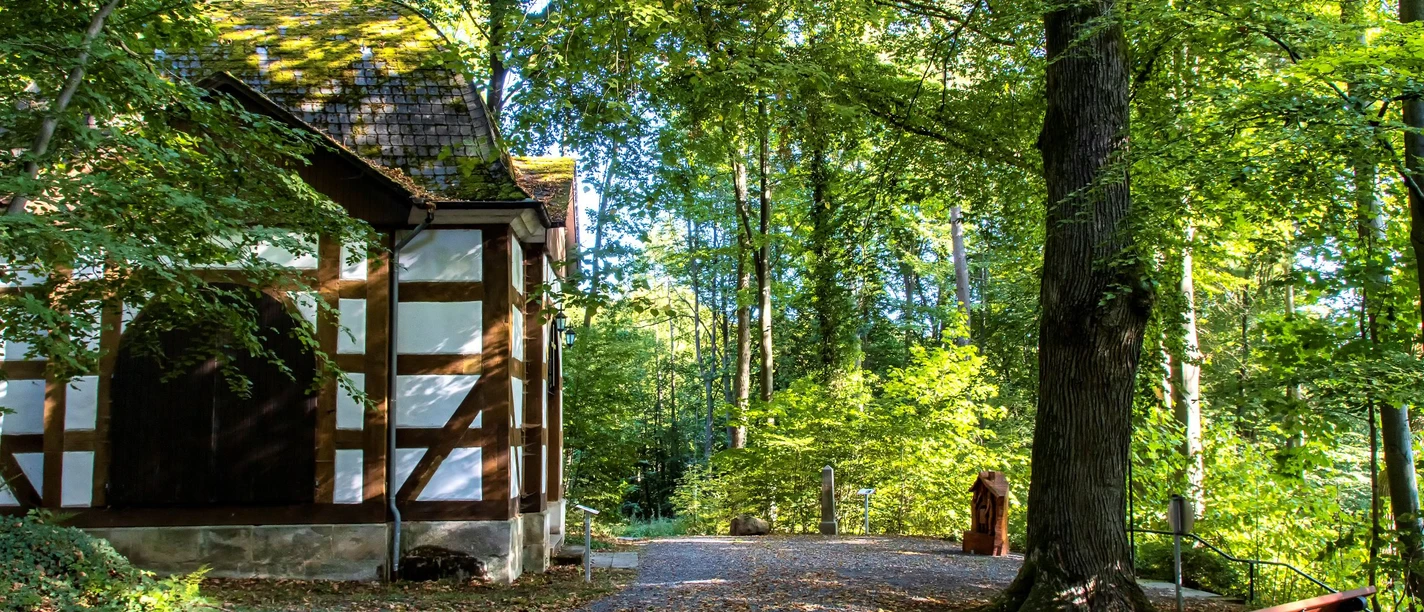 Promenadenspaziergang Friedrichpavillon- Stadt Rehburg-Loccum.jpg
