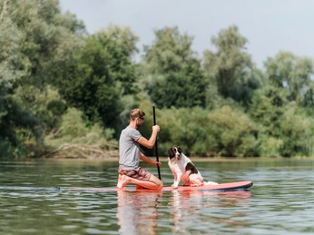 Campingpark Kalletal Hunde Person macht Stand-Up Paddling mit Hund