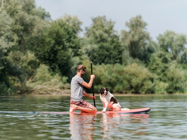 Campingpark Kalletal Hunde Person macht Stand-Up Paddling mit Hund
