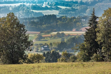 Blick ins D-Tal bei Lellwangen-1.jpg