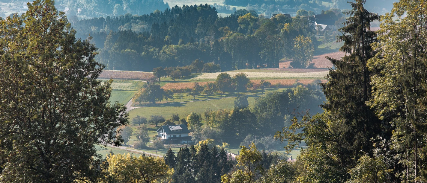 Blick ins D-Tal bei Lellwangen-1.jpg