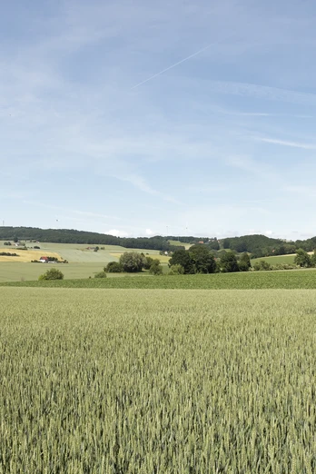 Landschaft bei Humfeld CC BY-SA - LTM.jpg