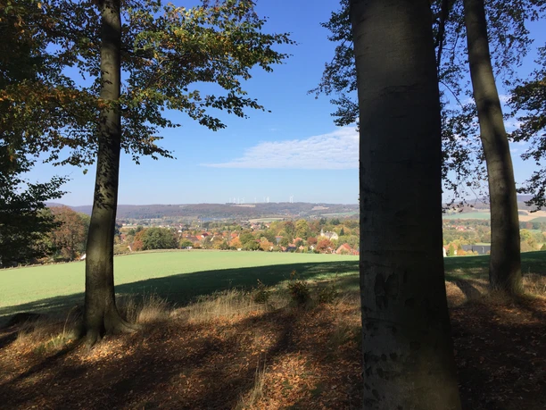 Blick auf Schloss Wendlinghausen CC BY-SA - LTM.JPG