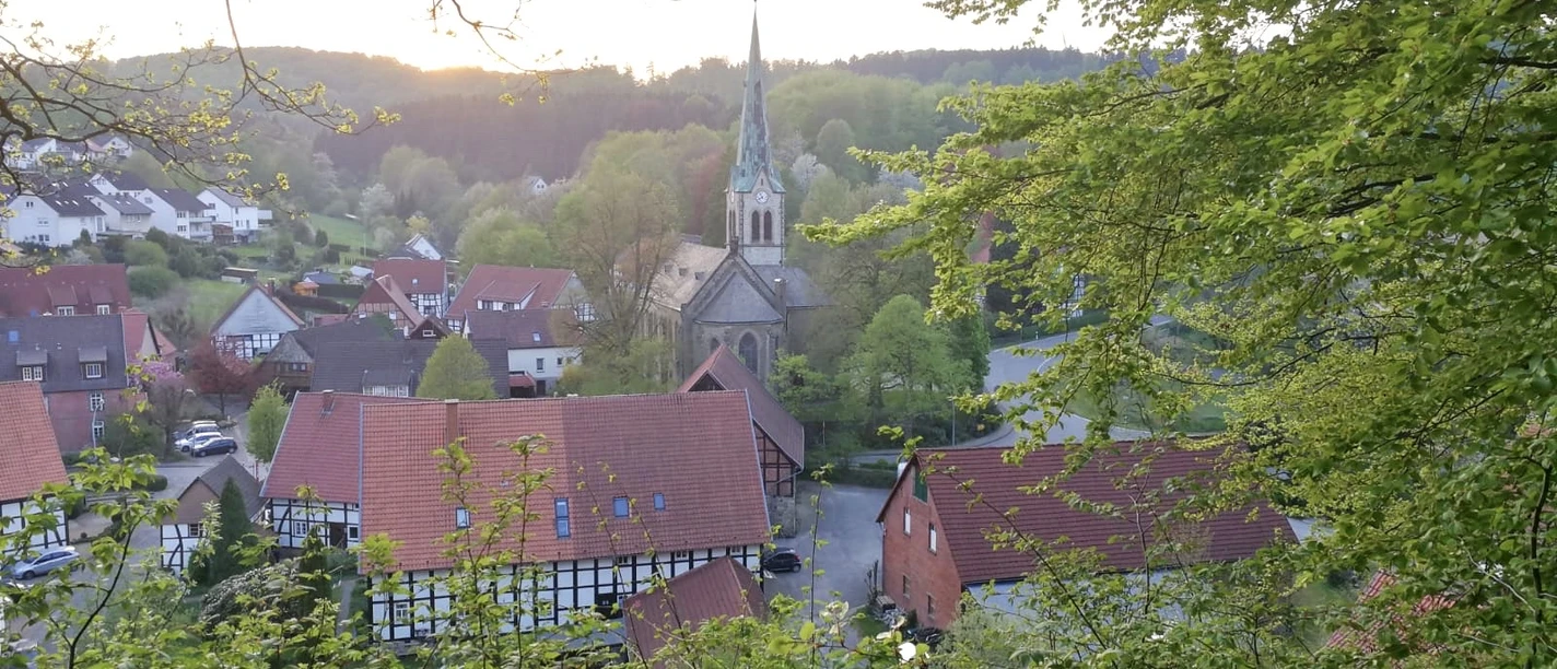 Blick auf Hillentrup CC BY-SA - LTM.JPG