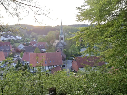 Blick auf Hillentrup CC BY-SA - LTM.JPG