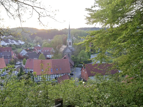 Blick auf Hillentrup CC BY-SA - LTM.JPG