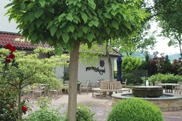 Kurhaus Pivittskrug Sonnige Terrasse des Kurhauses Pivittskrug mit runden Holztischen und üppiger Grünbepflanzung.