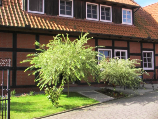 Ein traditionelles Fachwerkhaus mit roten Ziegeln und gepflegtem Vorgarten bei sonnigem Wetter.