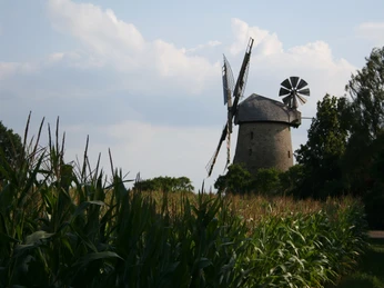 Königsmühle Seelenfeld Windmühle mit zwei unterschiedliche Flügelarten in ländlicher Landschaft unter bewölktem Himmel.