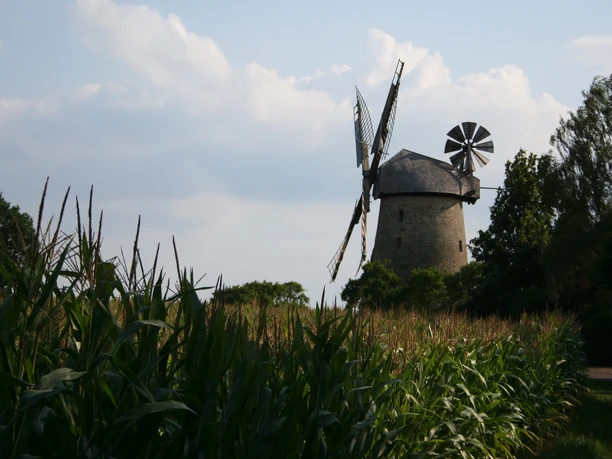 Königsmühle Seelenfeld Windmühle mit zwei unterschiedliche Flügelarten in ländlicher Landschaft unter bewölktem Himmel.