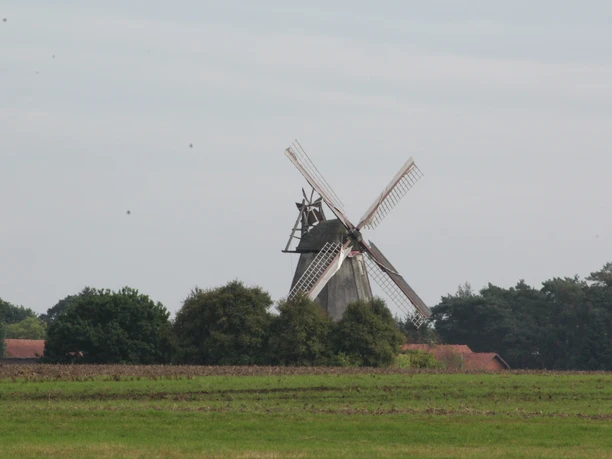 Eine historische Windmühle umgeben von Feldern und Bäumen unter einem bewölkten Himmel.