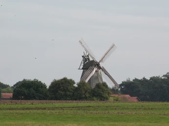 Windmühle Mösloh Eine historische Windmühle umgeben von Feldern und Bäumen unter einem bewölkten Himmel.