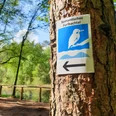 Furlbachtal mit Eisvogel-Wegezeichen in Schloß Holte-Stukenbrock Furlbachtal mit Eisvogel-Wegezeichen in Schloß Holte-Stukenbrock