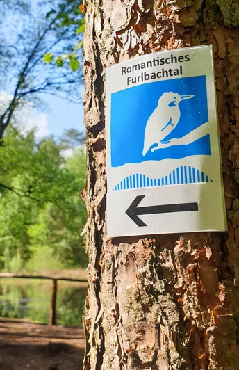 Furlbachtal mit Eisvogel-Wegezeichen in Schloß Holte-Stukenbrock Furlbachtal mit Eisvogel-Wegezeichen in Schloß Holte-Stukenbrock