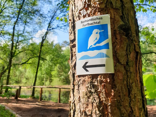 Furlbachtal mit Eisvogel-Wegezeichen in Schloß Holte-Stukenbrock Furlbachtal mit Eisvogel-Wegezeichen in Schloß Holte-Stukenbrock