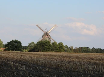 Eine historische Windmühle steht malerisch zwischen Bäumen und weitläufigen Feldern bei klarem Himmel.