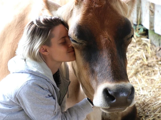 Kuhkuscheln Frau in grauem Hoodie schmust liebevoll mit einer braunen Kuh im Stroh. Die Szene wirkt harmonisch.