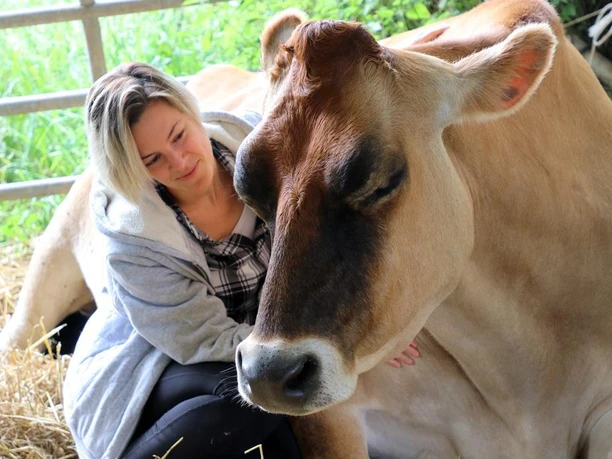 Kuhkuscheln Eine Frau lehnt sich entspannt an eine liegende, friedvolle Kuh, umgeben von Stroh in einem offenen Stall.