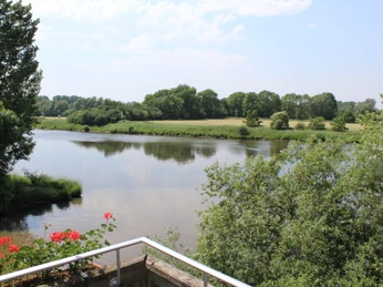 Flusslandschaft mit grünen Ufern und Bäumen, vereinzelt roten Blumen im Vordergrund, leichte Bewölkung.