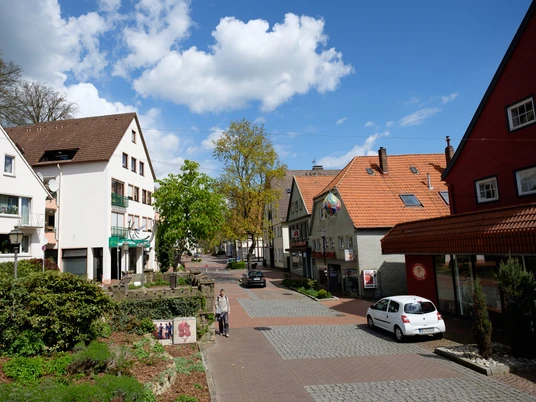 Blick auf die Innenstadt, links ein Beet mit Büschen, in der Mitte der Fußweg und rechts Geschäfte