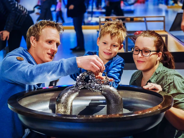 Magnetischer Sand im phaeno Magnetischer Sand im phaeno