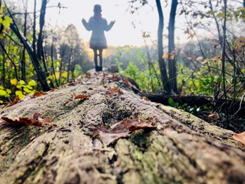 Erlebnispfad Holter Wald in Schloß Holte-Stukenbrock
