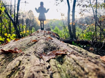 Erlebnispfad Holter Wald in Schloß Holte-Stukenbrock Erlebnispfad Holter Wald in Schloß Holte-Stukenbrock