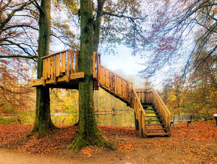 Beobachtungsplattform im herbstlichen Erlebnispfad Holter Wald in Schloß Holte-Stukenbrock