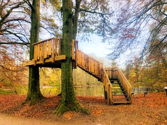 Beobachtungsplattform im herbstlichen Erlebnispfad Holter Wald in Schloß Holte-Stukenbrock Beobachtungsplattform im herbstlichen Erlebnispfad Holter Wald in Schloß Holte-Stukenbrock
