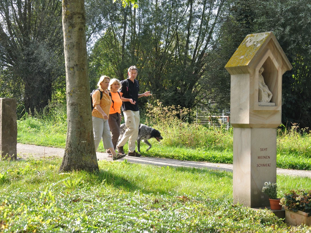Wanderer im Schloss- und Auenpark Drei Personen spazieren fröhlich durch einen grünen Parkweg, begleitet von einem Hund.