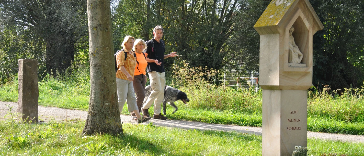 Wanderer im Schloss- und Auenpark Drei Personen spazieren fröhlich durch einen grünen Parkweg, begleitet von einem Hund.