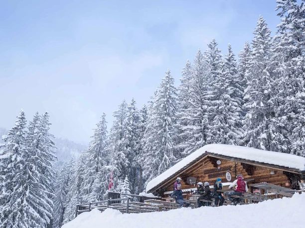 alphuette-hohwald-beatenberg-winter-schnee-gaeste.jpg