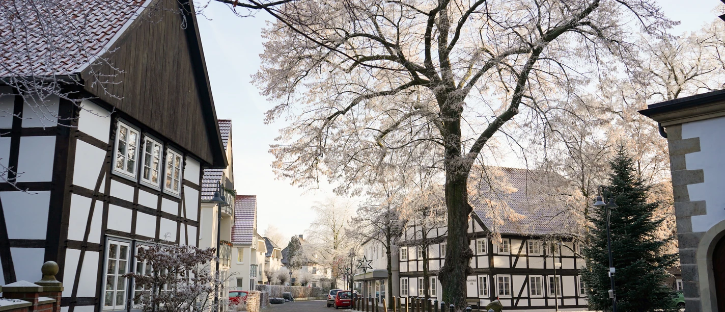 Malerische Fachwerkhäuser mit verschneiten Bäumen säumen eine ruhige, charmante Straße im Winter.
