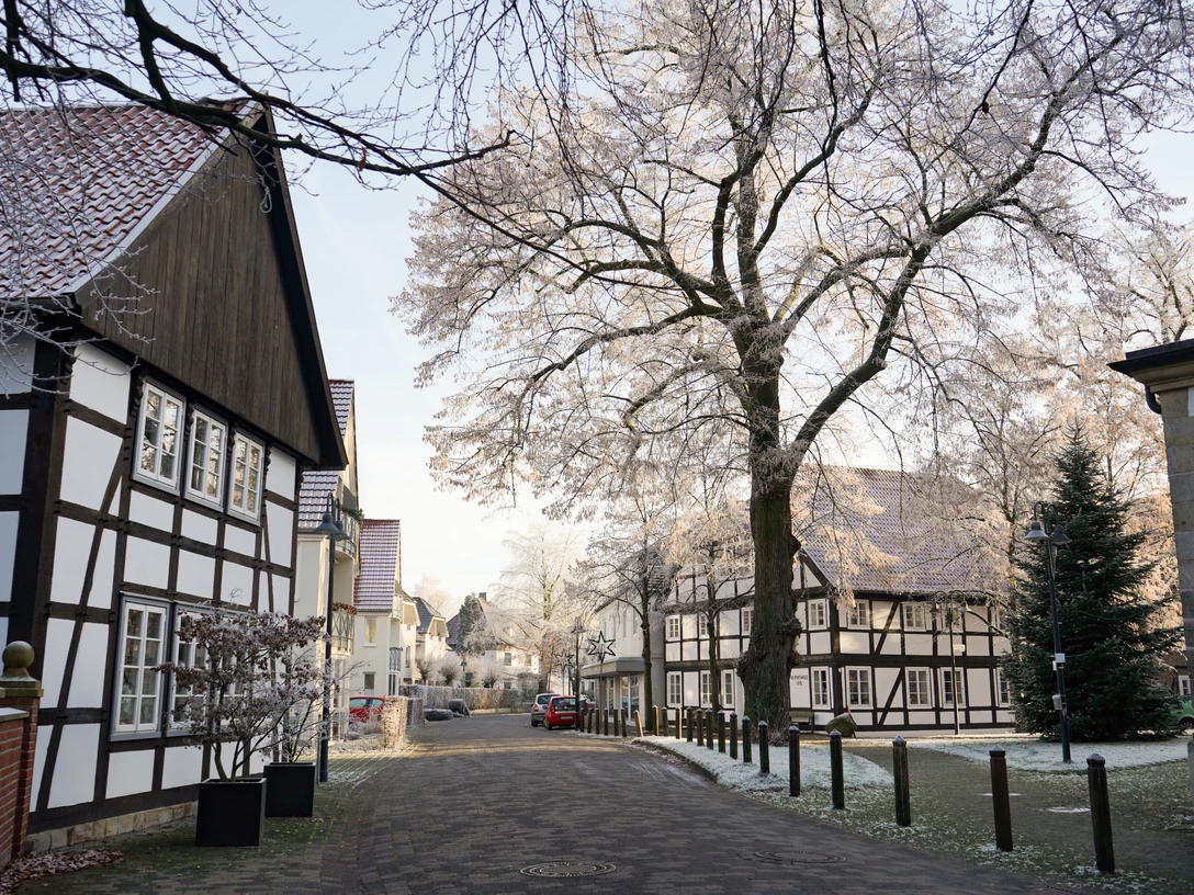 Verl, Sender Straße Malerische Fachwerkhäuser mit verschneiten Bäumen säumen eine ruhige, charmante Straße im Winter.