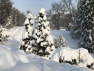 Schneebedecktes Freigelände im Botanischen Garten
