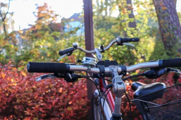 Fahrrad in Schloß Holte-Stukenbrock Fahrrad in Schloß Holte-Stukenbrock