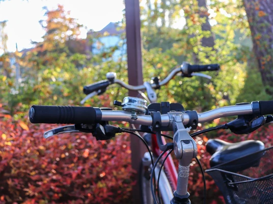 Fahrrad in Schloß Holte-Stukenbrock Fahrrad in Schloß Holte-Stukenbrock