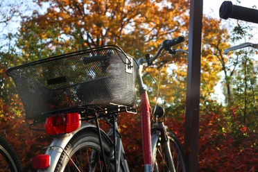 Fahrrad in Schloß Holte-Stukenbrock Fahrrad in Schloß Holte-Stukenbrock