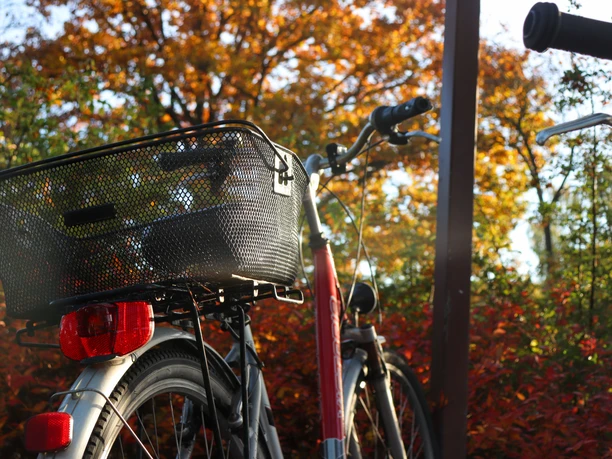 Fahrrad in Schloß Holte-Stukenbrock Fahrrad in Schloß Holte-Stukenbrock