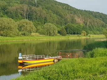 Eine gelbe Fähre ankert an einem grünen Ufer vor einem bewaldeten Hang, im ruhigen Flusswasser.