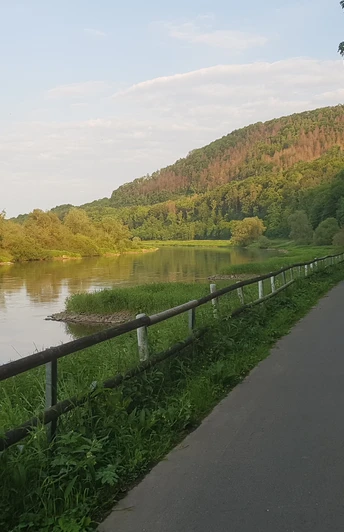 Radweg entlang eines Flusses mit bewaldetem Hang im Hintergrund und üppiger Vegetation.