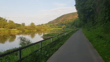 11_hx_zbih_weserradweg_wuergassen_stephanberg.jpg Radweg entlang eines Flusses mit bewaldetem Hang im Hintergrund und üppiger Vegetation.
