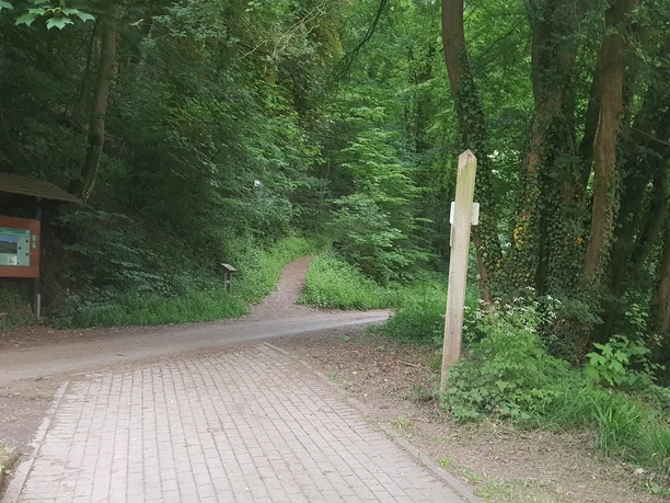 18_hx_zbih_wegnachfuerstenberg_stephanberg.jpg Waldweg mit Infotafel und Wegweiser führt durch dichten grünen Laubwald bei Fürstenberg.