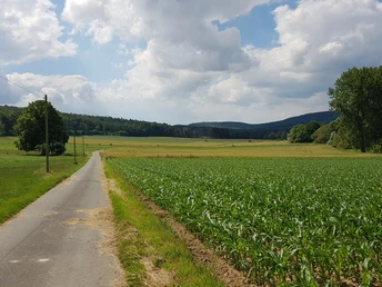 Ländliche Landschaft mit schmaler Asphaltstraße, gesäumt von Feldern und bewölktem Himmel im Hintergrund.