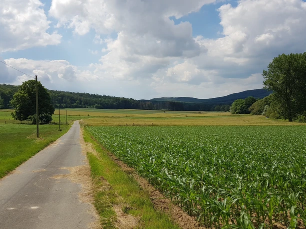 1_hx_rmdn_ (5).jpg Ländliche Landschaft mit schmaler Asphaltstraße, gesäumt von Feldern und bewölktem Himmel im Hintergrund.